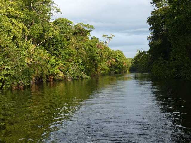 Tortuguero Tortuguero